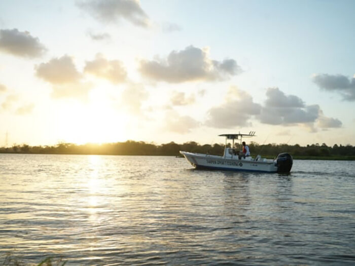 Outboard engines for sale near me