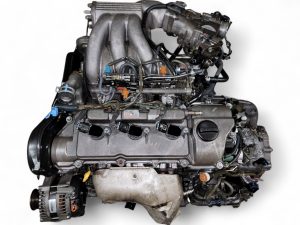 20250523124436a-300x225