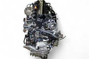 img5500-300x200