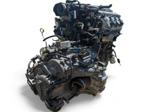 pxl20230706172328358-300x226