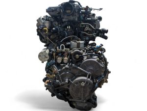 pxl20230706172337783-300x226