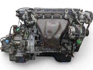 pxl20231019211439083-300x226