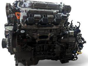 pxl20240725142209794-300x226
