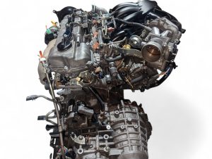 pxl20250125180616894-photoroom-300x226