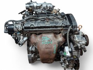 pxl20250313132713966-300x226